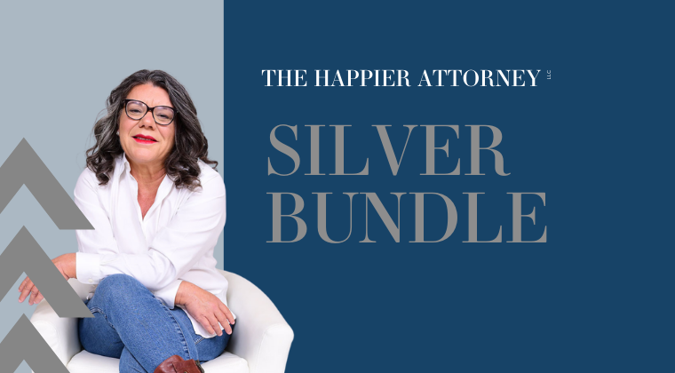 Silver bundle